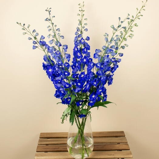 Blue Delphinium Vase 1116