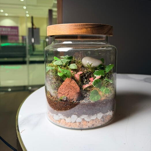 Terrarium en bocal rustique