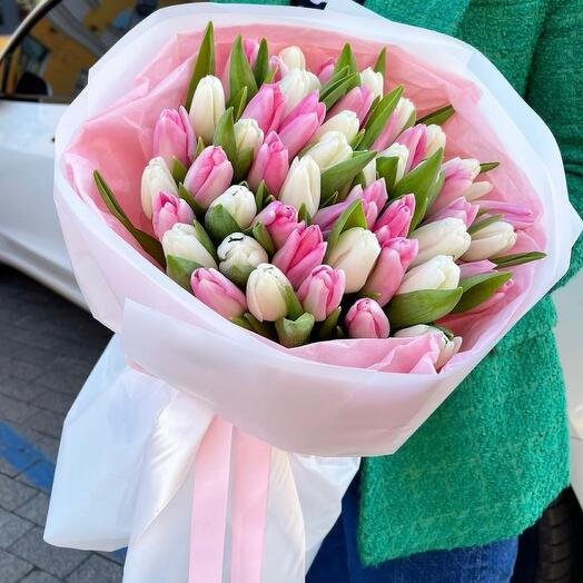 Mixed coloured Tulips