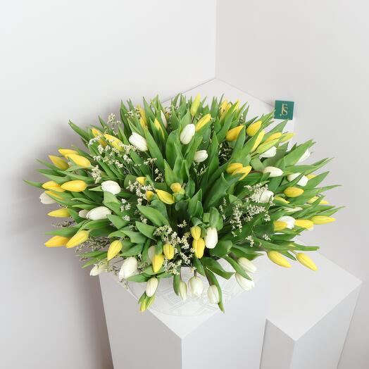 Mix Tulip Box