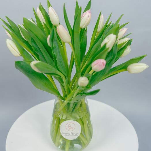 2 Dozen Pink   Tulips in vase a vase