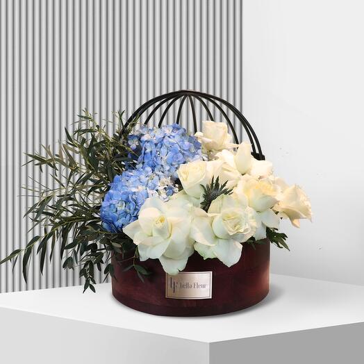 Doli Lakewood - Medium