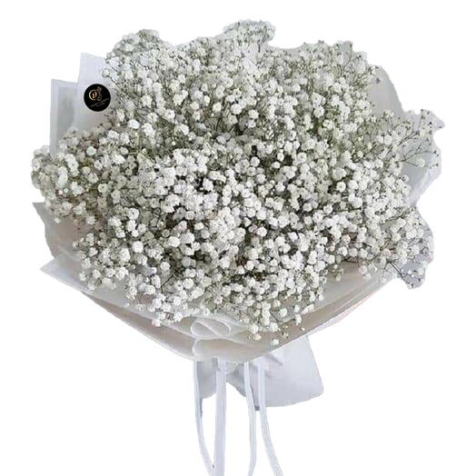 Bouquet de gypsophile