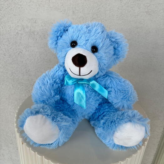 Blue Teddy Bear