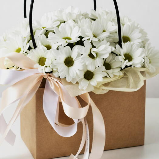 Pure White Daisy Gift Bag Luxe