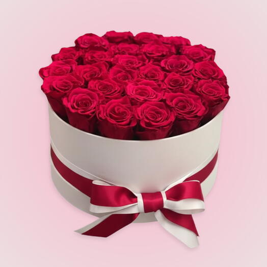 Daisy Dreams: 20 stem Madam red roses