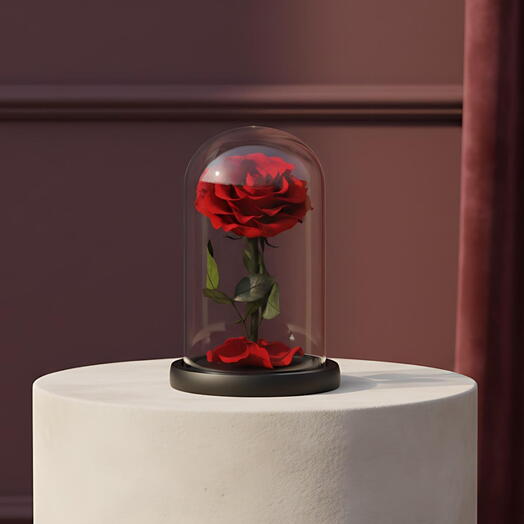 Single Red Infinity Rose Valentine s Day