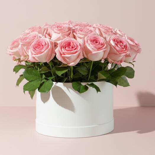 20 Pink Roses Luxury Box Arrangement
