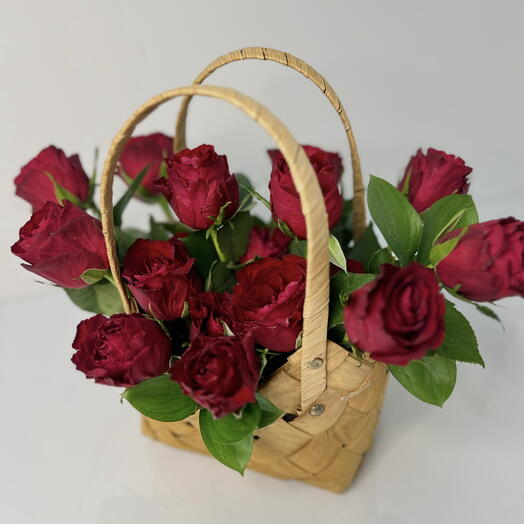 Signature Ellisse Basket