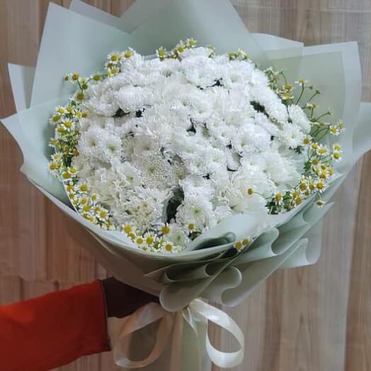 Хризантема Чандини