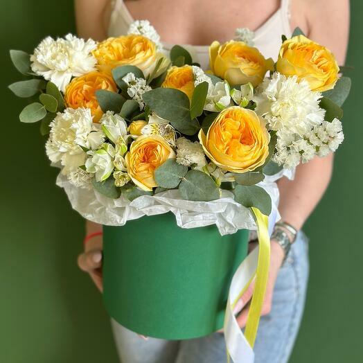 Sunny Garden Delight