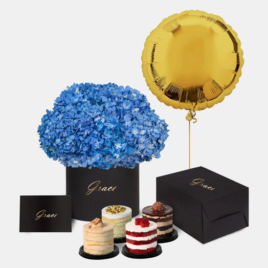 Blue Hydrangea in Box with Mini Cake Bundle