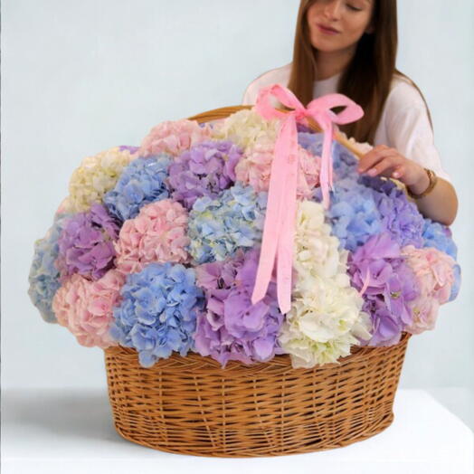 Hydrangea Overload - 25 Hydrangea Basket
