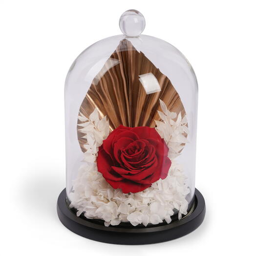 Forever Red Rose Dome