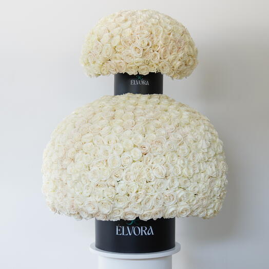 1000 WHITE ROSES DOME