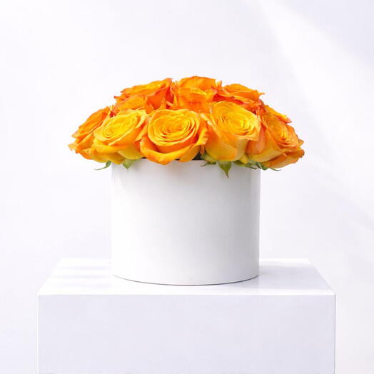 Botánica Rosa Confidencial