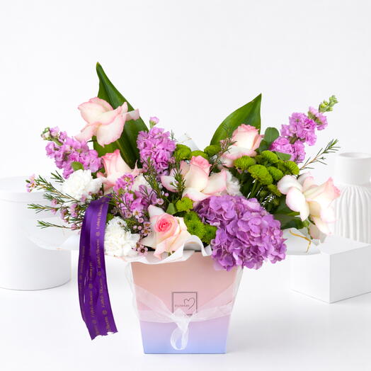 Pastel Majesty Serenity Box