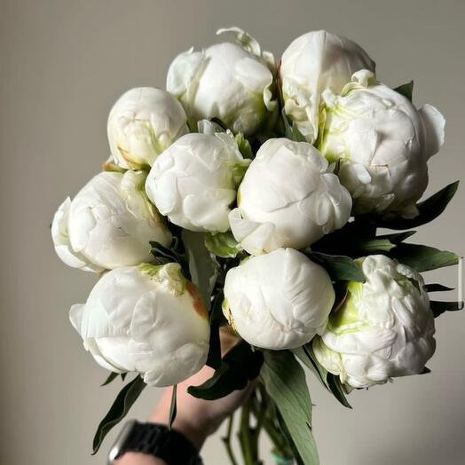 Bouquet of white peonies 11