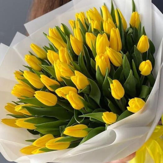 49 Yellow Tulips