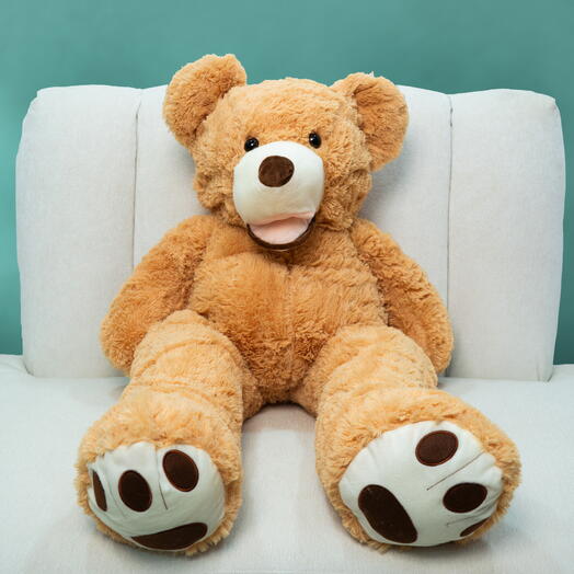 Osito de peluche (pequeño)