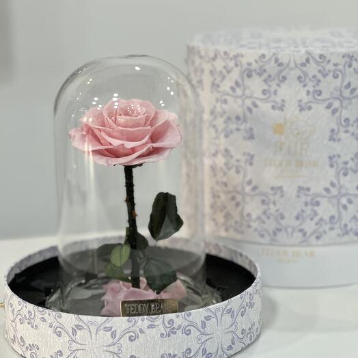 Forever Fleur Розовая вечная роза