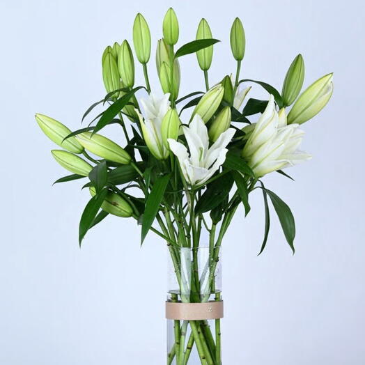 Emily s Lily Vase