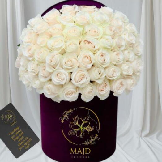 Jasmine Majd signatures