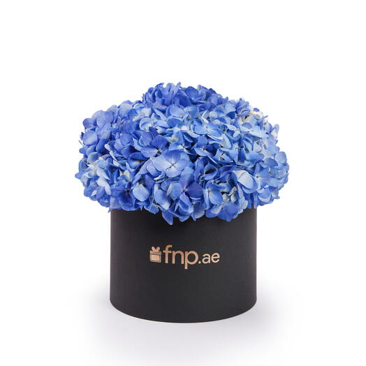 Полуночный шепот