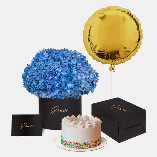 Blue Hydrangea in Box with Funfetti Cake Bundle