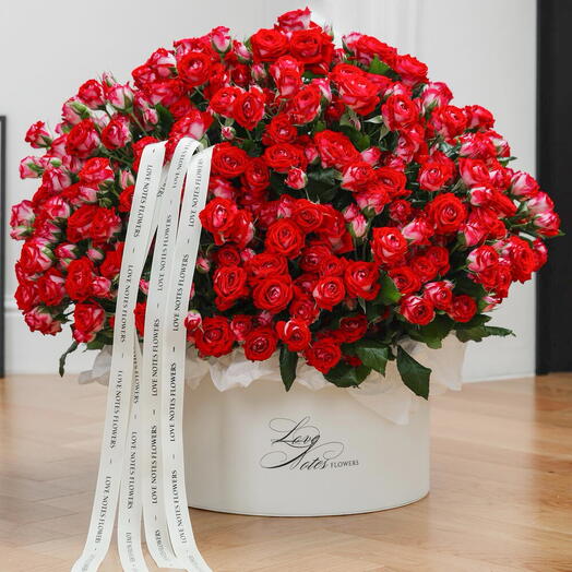 Love Notes Signature Box