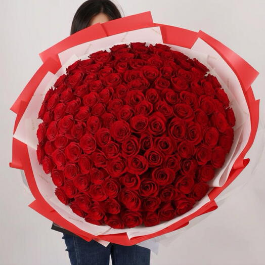 Красная роза 101