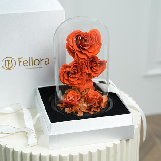 Fellora Premium Rosas Infinity Naranja 7535