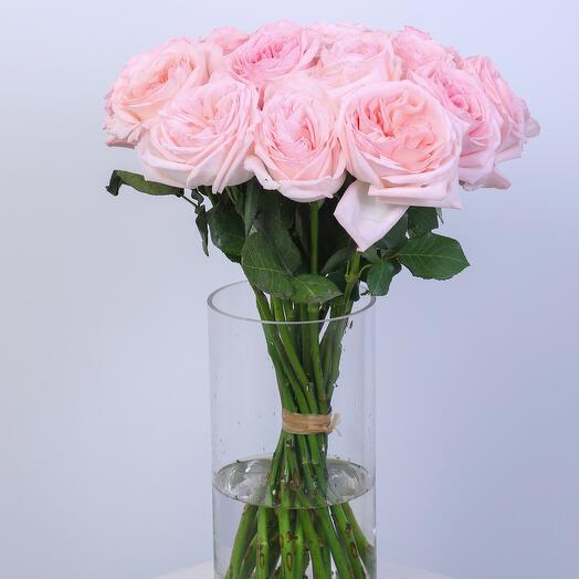 Scented Ohara Roses- 561
