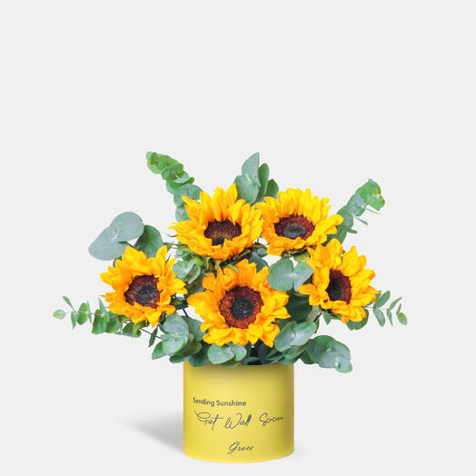 Get Well Soon Sunflower in Small Box