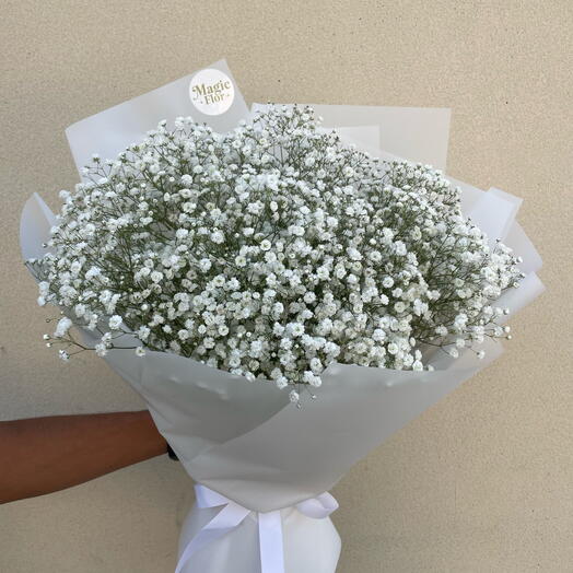 Гипсофила Экселленс