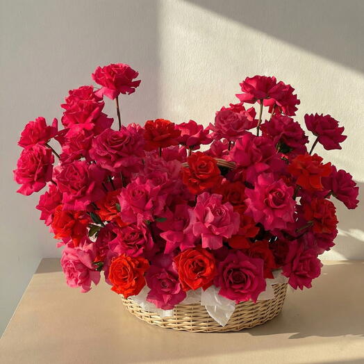 Имперская Аврора