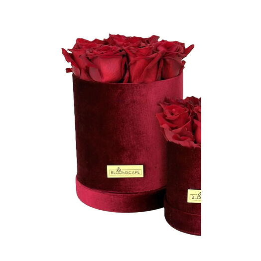 Красный бархат средний