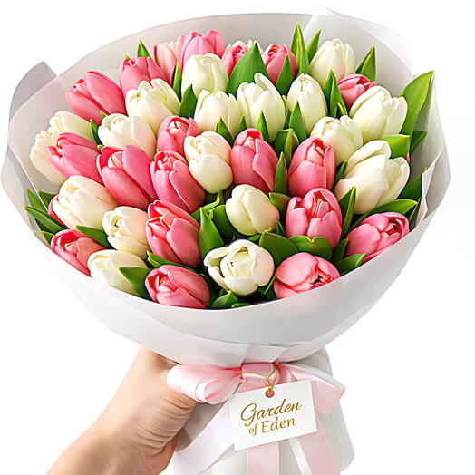 Luxury Pink   White Tulip Bouquet – 31 Premium Stems