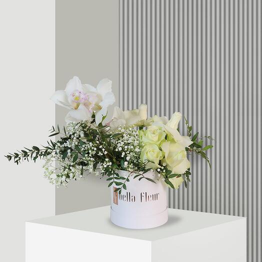 Agnes Bella коробка - маленькая