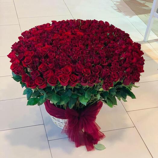 ВСЕ КРАСНЫЕ РОЗЫ