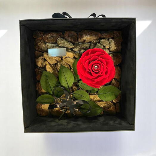 Single Preserved Rose in a Square Box