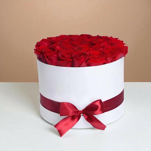 Red Rose In Large Size White Box