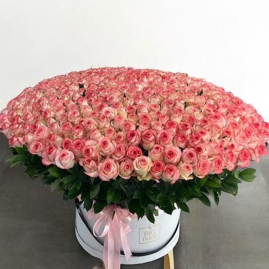 401 Roses Big Statement