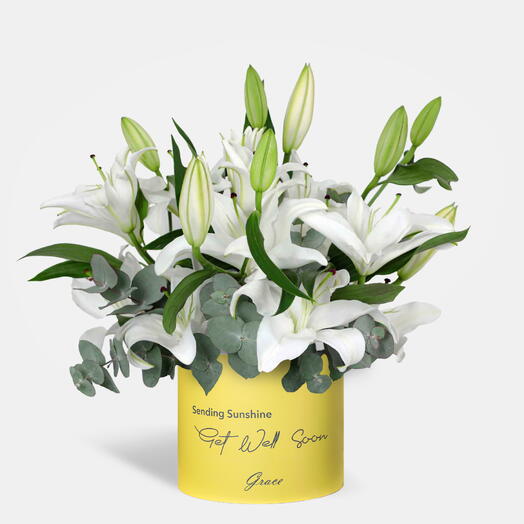 Get Well Soon White Lily in Large Box