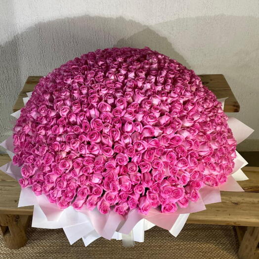 Bouquet de luxe de 501 roses roses taille XXXL
