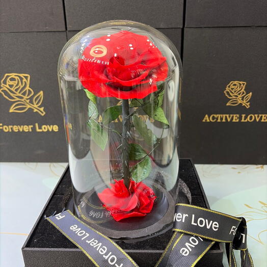 Red Forever Love Rose