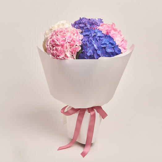 Reign - букет из 5 гортензий