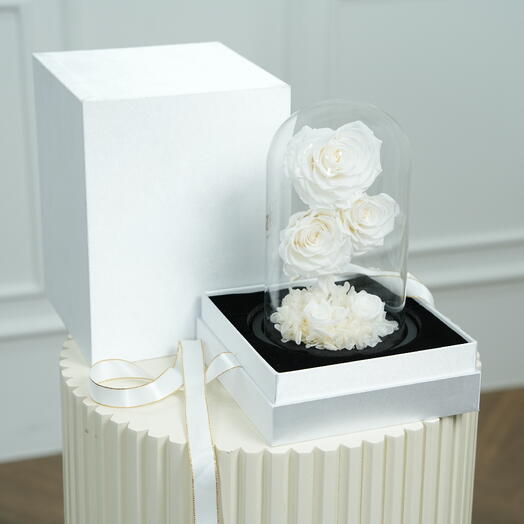 Fellora Premium White Infinity Roses  7542