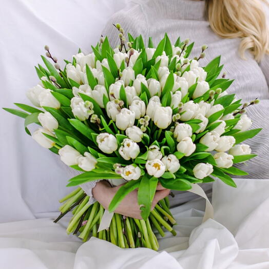 White holland tulips