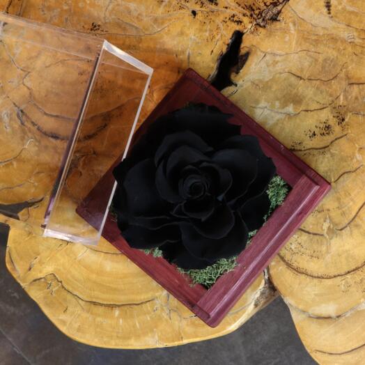 Black Infinity Single